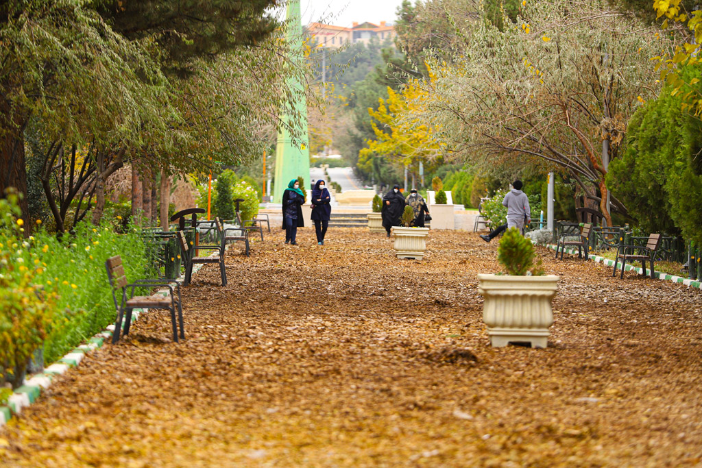 Beautiful autumn scenery in Qom parks