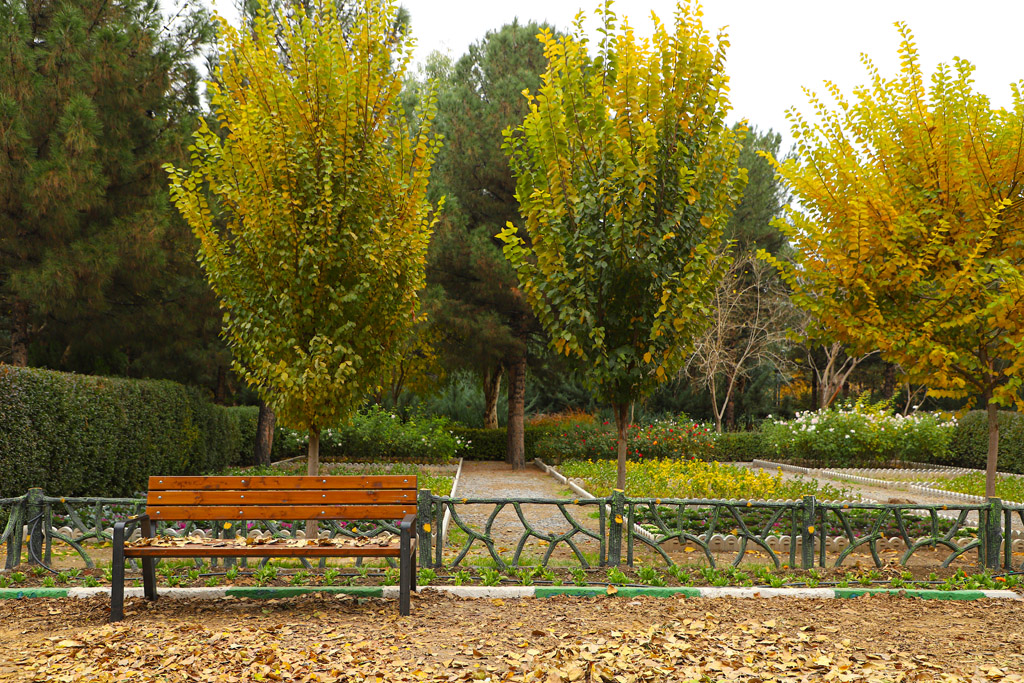 Beautiful autumn scenery in Qom parks