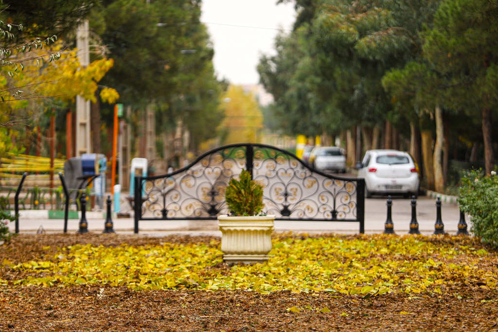 Beautiful autumn scenery in Qom parks