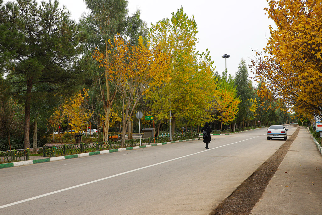 Beautiful autumn scenery in Qom parks