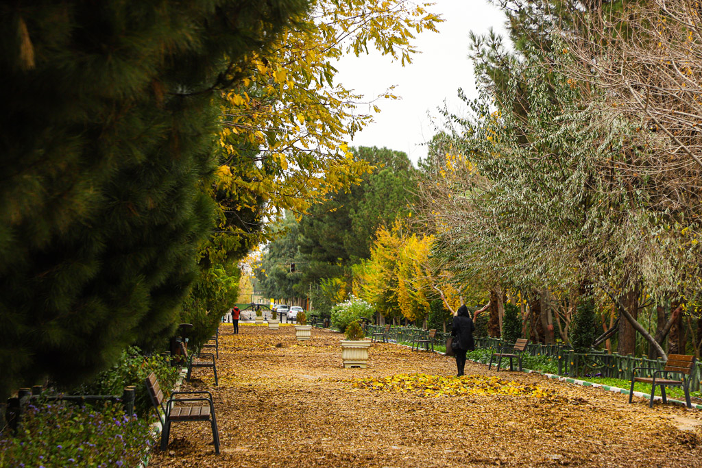 Beautiful autumn scenery in Qom parks