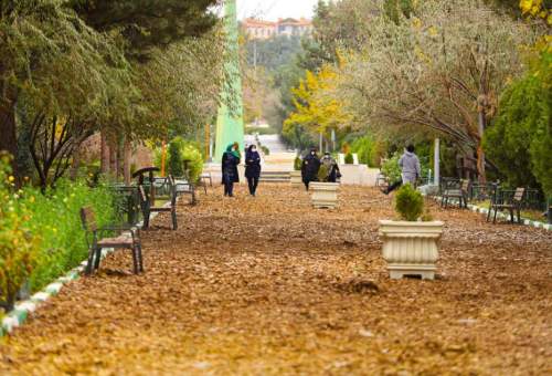 Beautiful autumn scenery in Qom parks