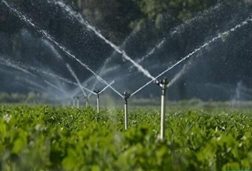 ۱۳۳ میلیارد تومان برای مدیریت آب در بخش کشاورزی قم هزینه شد