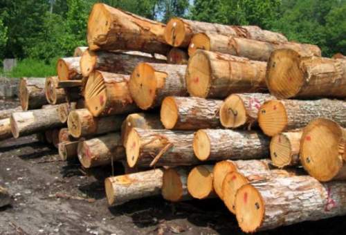 کشف 15 تن چوب قاچاق در قم