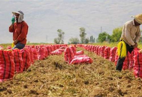 پیش‌بینی ۲۲۰۰ میلیارد تومان برای اشتغال روستایی قم در سال جاری