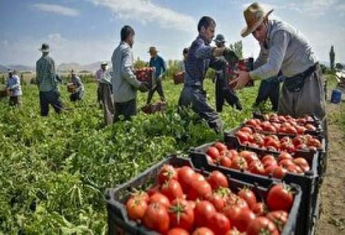اصلاح فرآوری محصولات کشاورزی، سرمایه‌گذاری سودآور در قم