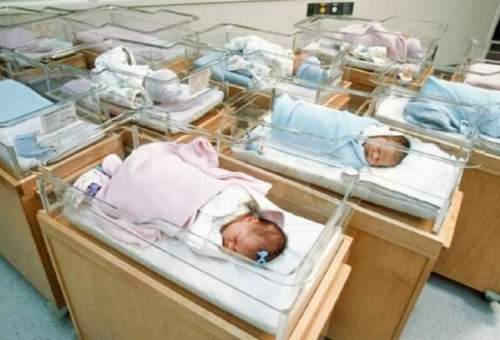 کاهش ۷ درصدی نرخ تولد در استان قم