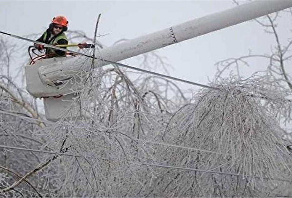 قطعی برق در قم ناشی از درگیر شدن شاخه درختان با شبکه برق بود