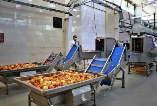رییس سازمان جهاد کشاورزی قم:۳۱ واحد تولیدی در حوزه صنایع تبدیلی و غذایی در قم راه اندازی شد.
