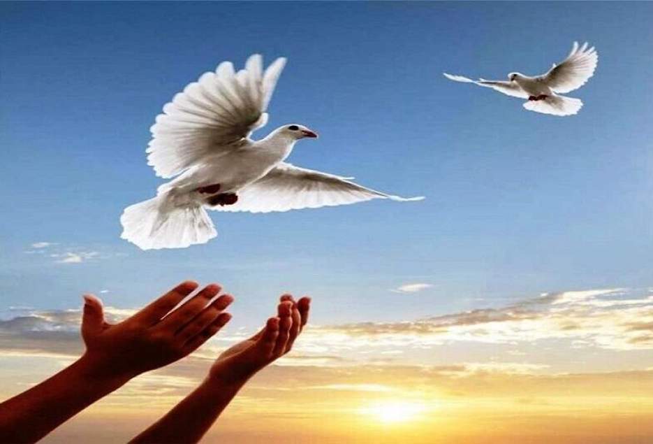 مدیرنمایندگی ستاد دیه قم: ۱۰۵ نفر از مددجویان جرایم غیرعمد در قم آزاد شدند.