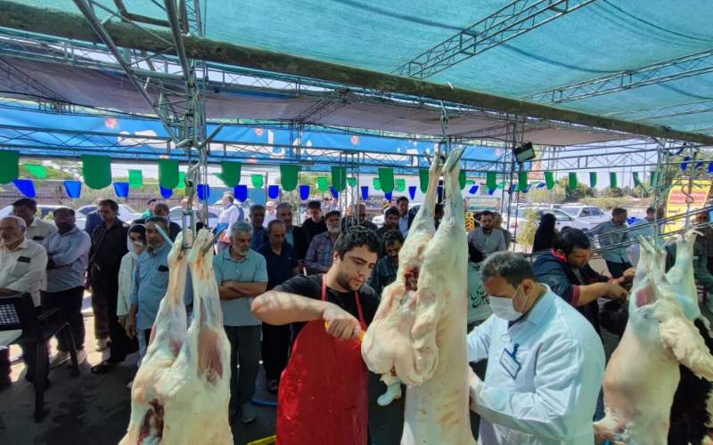 بازدید فرماندار از ذبح بهداشتی دام عید قربان در قم