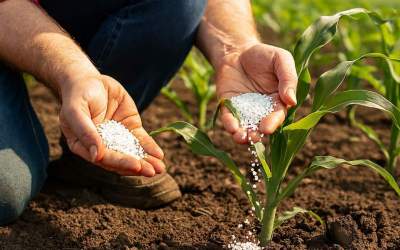 ۱۱ هزار تُن کود یارانه‌ای در قم توزیع شد