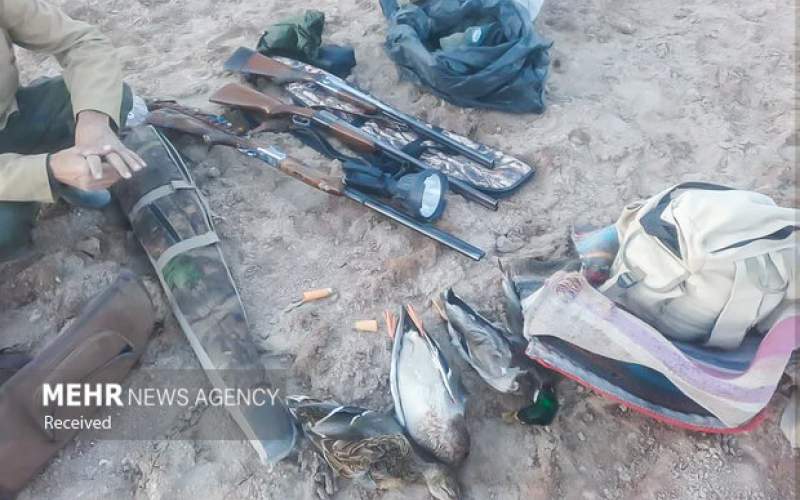 شکارچیان متخلف در تالاب مره قم دستگیر شدند