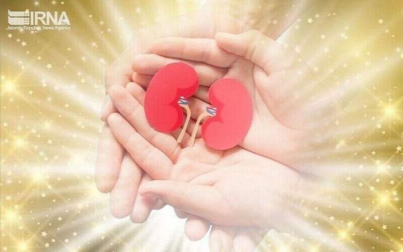 اهدای اعضای حیاتی یک نوجوان قمی دچار مرگ مغزی