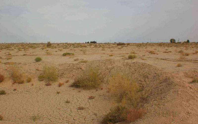 مدیر آب و خاک جهاد کشاورزی: فرسایش خاک قم از میانگین کشوری فراتر رفت