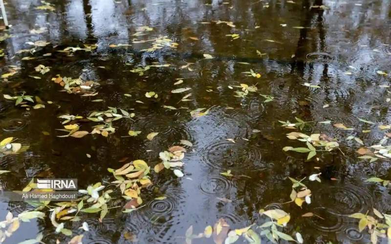 روند دمای قم تا یکشنبه افزایشی است/ سه‌شنبه احتمال بارش پراکنده