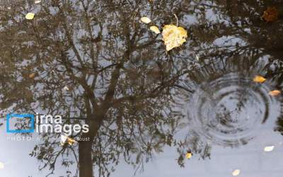 بارش برف در راه است/قم چند روز مه‌آلود و بارانی را پیش‌رو دارد